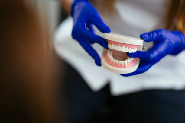 Best Dental Exams and Cleanings  in La Vale, MD